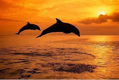 《死亡搁浅2》新预告公布 6月26日正式发售